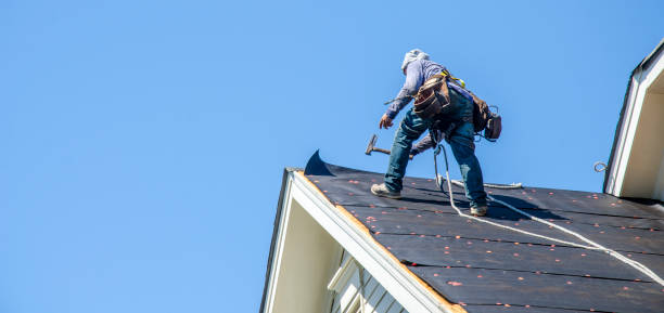 Professional Roofing Contractor in Buckhorn, CA